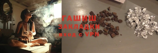 ГАЛЛЮЦИНОГЕННЫЕ ГРИБЫ Инсар