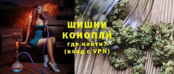 бошки Алексин