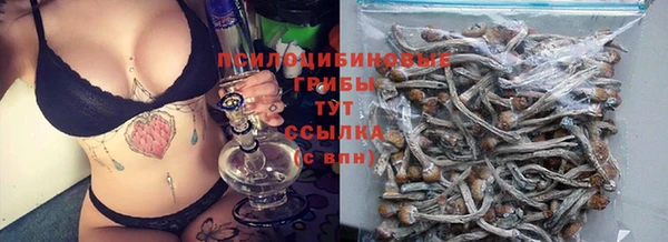 прущие крисы Абинск